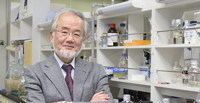 Нобелевская премия: в области медицины лучшим признан японский профессор 