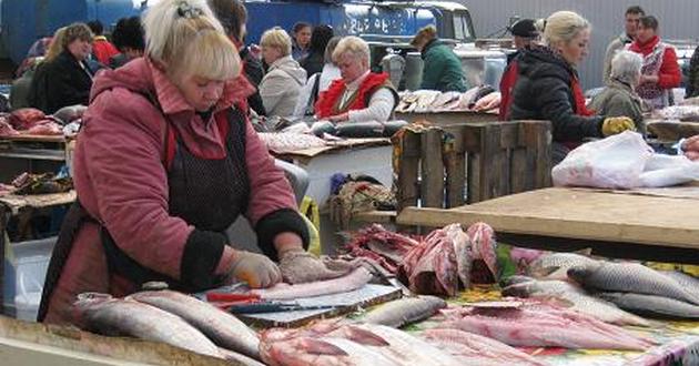 Опасная рыба: украинский пелингас может убить. ВИДЕО