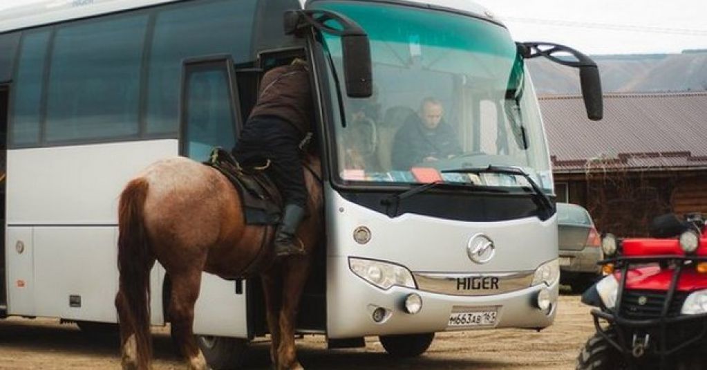 Свежая подборка автоприколов. ФОТО