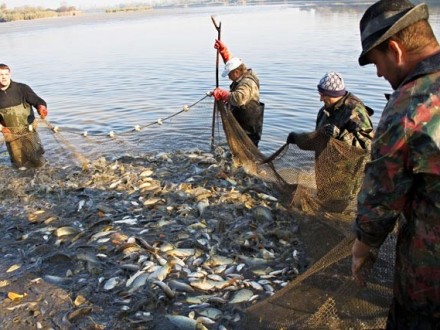 Рыбакам не повезет: вдвое больше за улов оплат пойдет