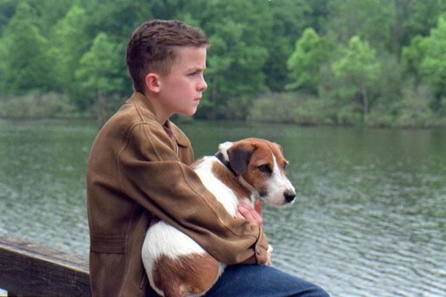 Человек собаке — друг: 10 лучших фильмов про братьев наших меньших