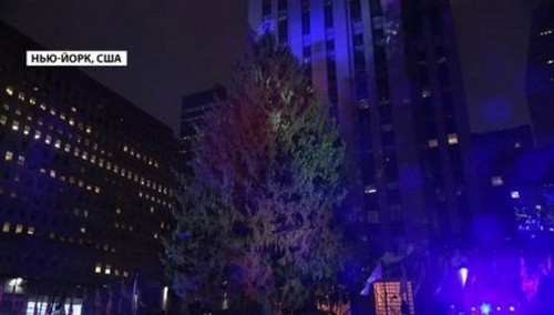 Рождественский дух окончательно утвердился в Нью-Йорке: засияла главная елка. ВИДЕО