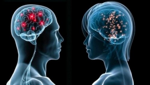 Женский и мужской мозг: некоторые отличия могут вас сильно удивить