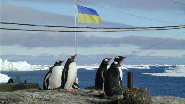 Работа мечты: станция в Антарктиде ищет специалистов