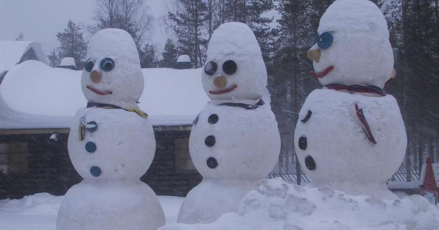Болгарское СМИ выдумало снеговиков-расистов