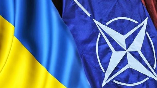Зачем Порошенко референдум о вступлении в НАТО