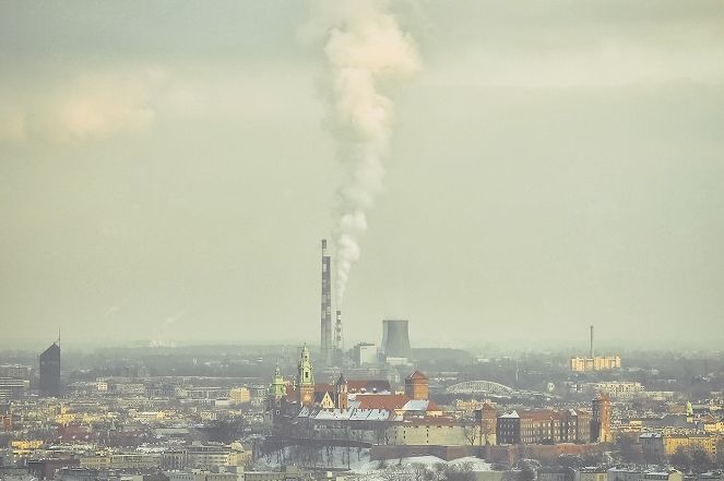 В Польше смог может спровоцировать революцию