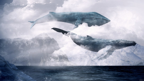 Охота на «Синих китов»: семь советов родителям