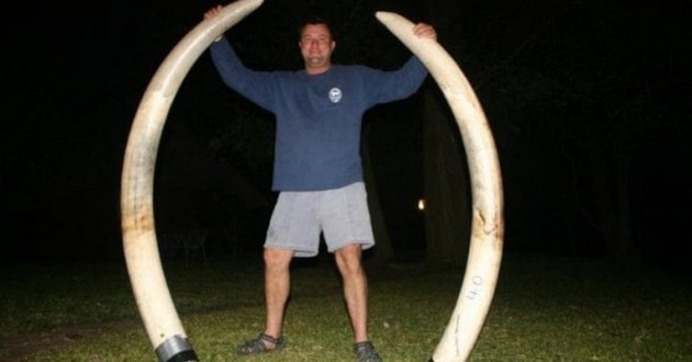 В Африке убитый слон раздавил профессионального охотника. ФОТО