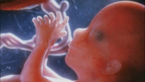 Ученые рассказали о «взрослом» умении детей еще в утробе