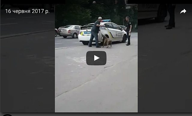 У Львові поліцейський підстрелив собаку. ВІДЕО