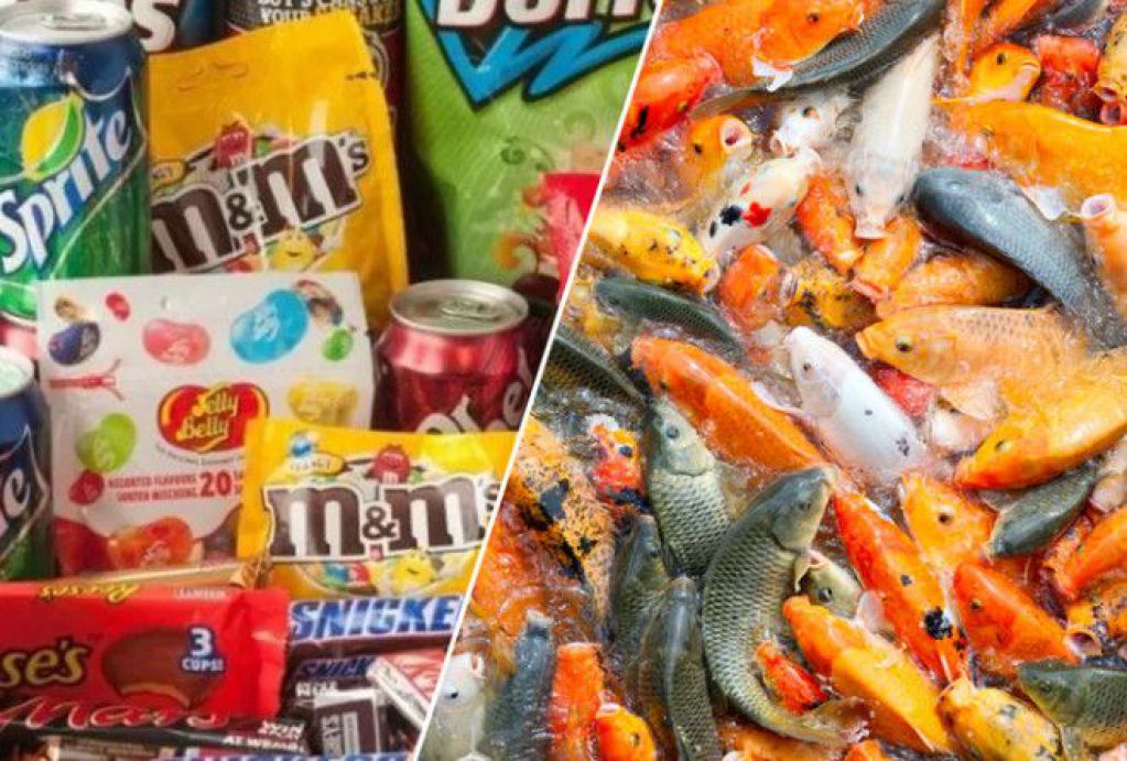 Продукты, которые онкологи советуют обходить стороной