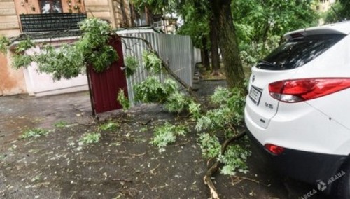 5-минутный ураган затопил Одессу и повалил множество деревьев (фото)