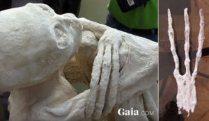 В Перу нашли мумию гуманоида