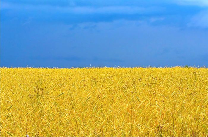 Дві дитини