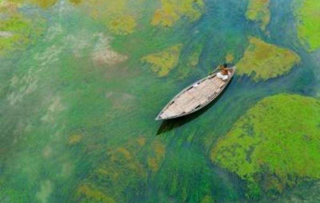 Лучшие снимки природы по версии National Geographic Traveler. ФОТО