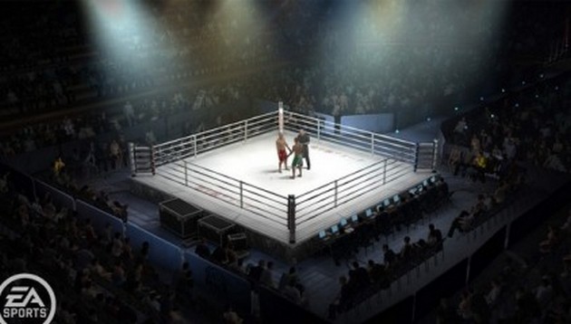 Три известных украинских боксера проведут бои в один вечер
