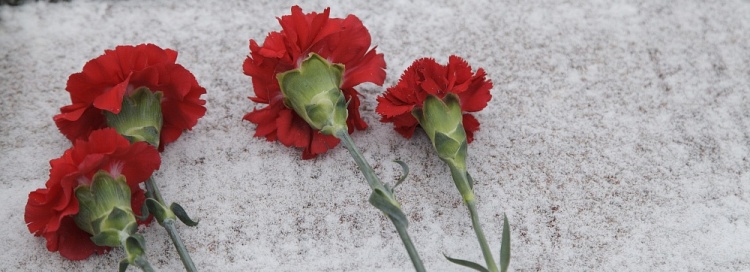 «Предпринимательница» из Винницы воровала цветы с могил бойцов АТО и продавала их
