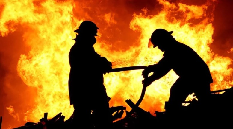 Из огня на землю: пожарные спасли необычного жильца (фото)