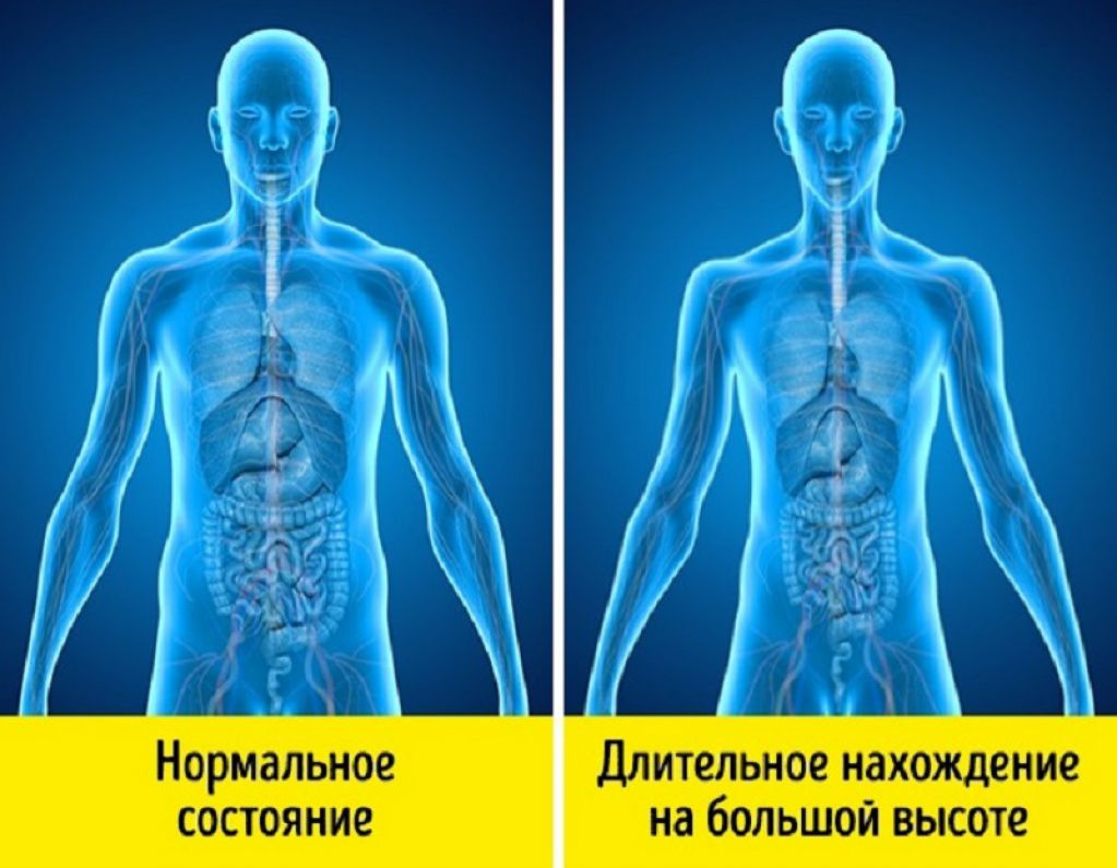 Эта информация не даст погибнуть в экстремальной ситуации!