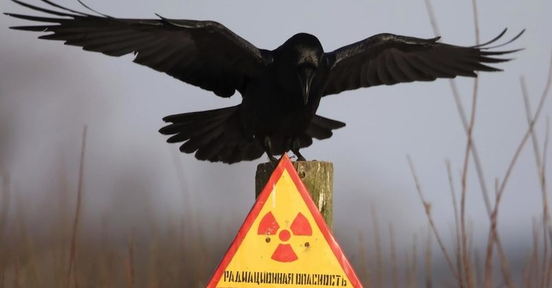 Будут проблемы с сердцем и печенью: в Украине всплеск радиации неизвестного происхождения