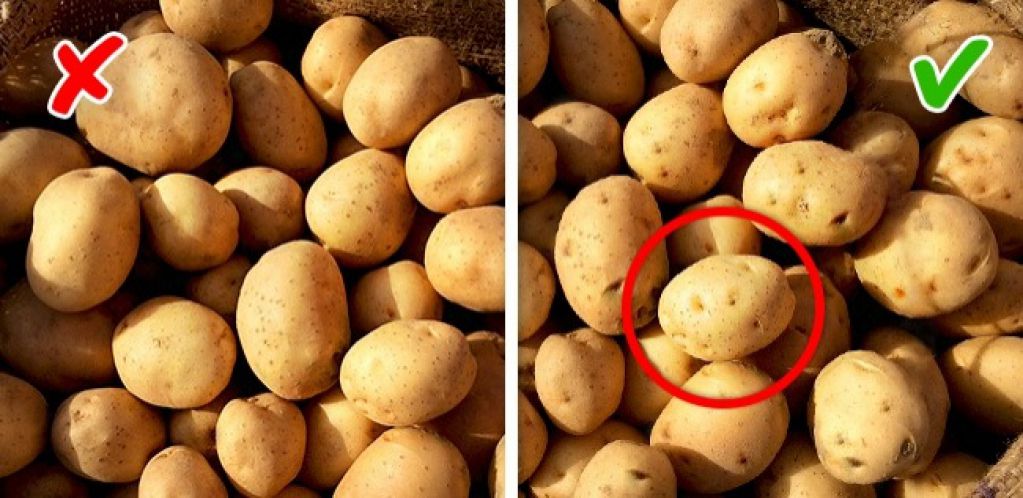 10 способов с одного взгляда определить, химический продукт или натуральный