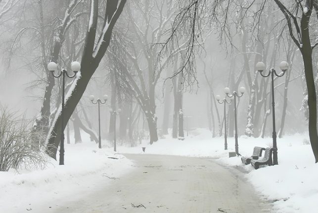 Синоптик рассказала, когда в Украину придет настоящая зима