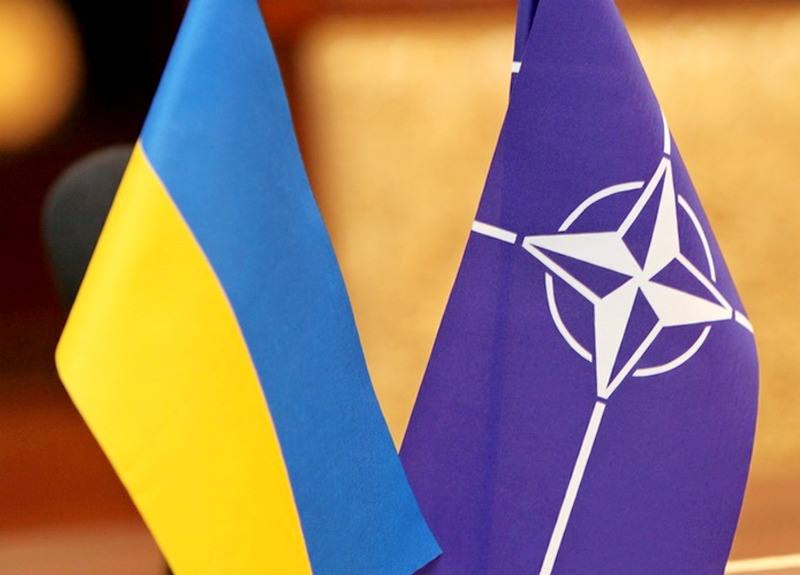 Конфликт между Венгрией и Украиной: 11 стран НАТО сделали громкое заявление 