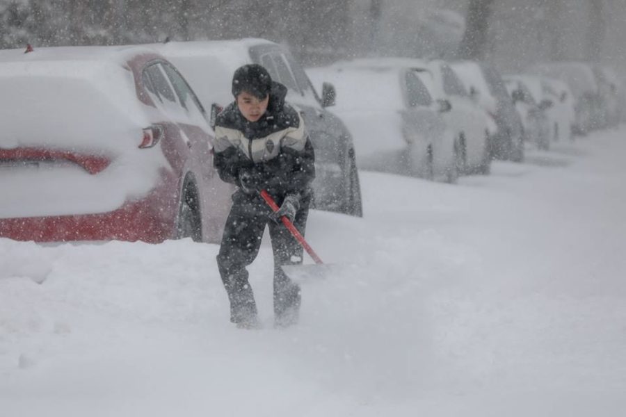 Погода скрутит в узел: украинцев ждет сильный снежный удар