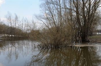 ГСЧС: Оттепель в Украине грозит резким подъемом уровня воды на некоторых реках