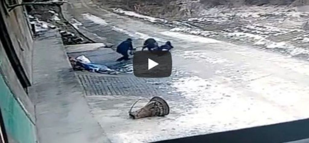 100-килограммовый кабан убил пенсионера и тяжело ранил девушку. ВИДЕО