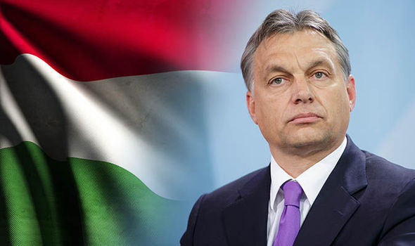 Местные выборы в Венгрии завершились победой кандидата от оппозиции
