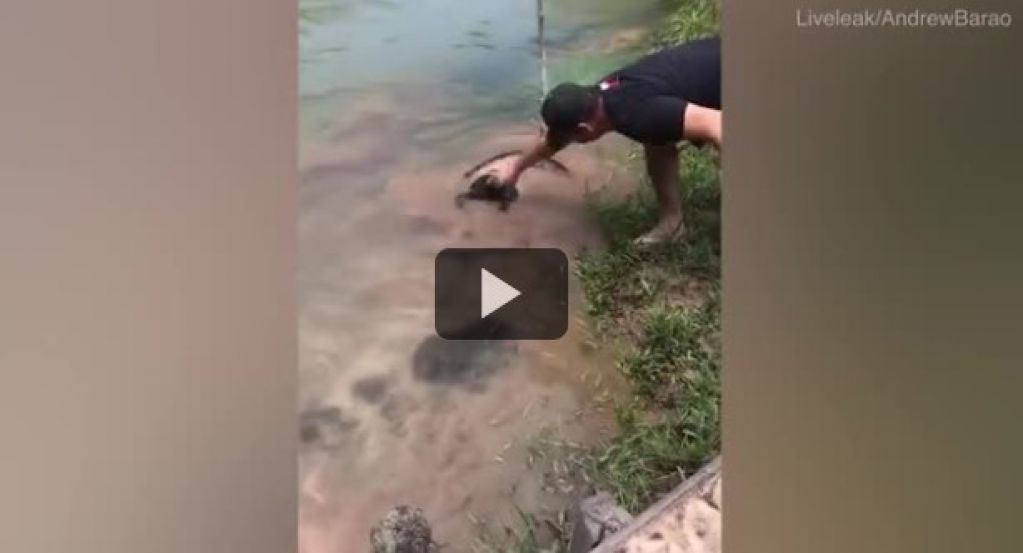 Жители деревни спасли собаку, которую анаконда утащила в воду. ВИДЕО