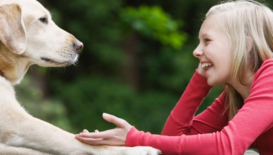 Ученые выяснили, как правильно разговаривать с собаками