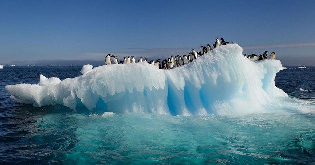 Антарктида поведала жуткие тайны прошлого