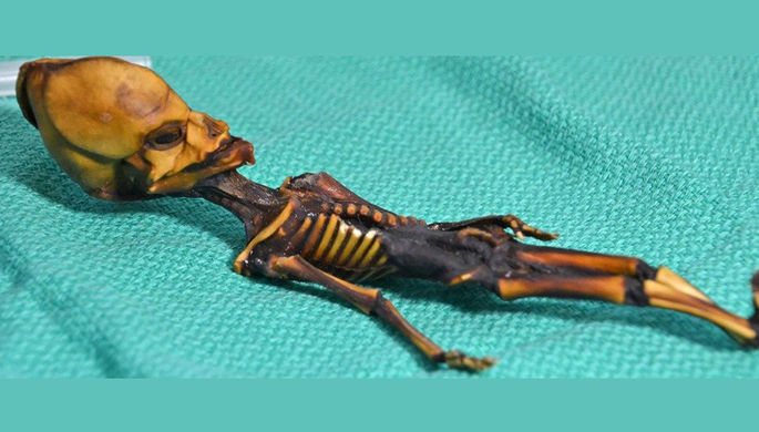 Генетики раскрыли секрет странной инопланетной мумии из Мутакама