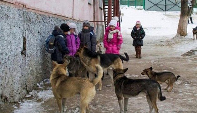 Под Одессой бродячие собаки растерзали среди бела дня  6-летнюю девочку