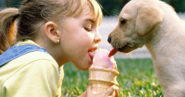 Дети и животные: ну что может быть ярче этих эмоций. ВИДЕО