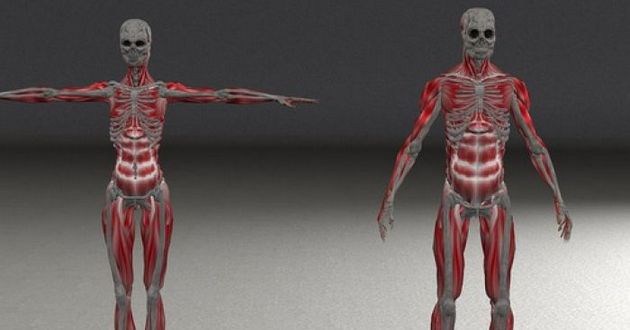 Уроки анатомии в будущем с виртуальной и дополненной реальностью. ВИДЕО