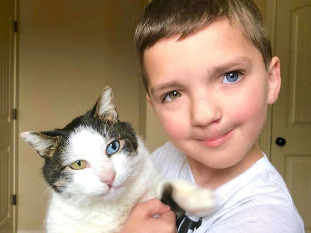 Мальчик с разными глазами, которого унижали в школе, спас кота, а тот спас его