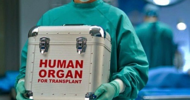 Сколько зарабатывают украинцы на продаже органов: полный прайс человеческого тела