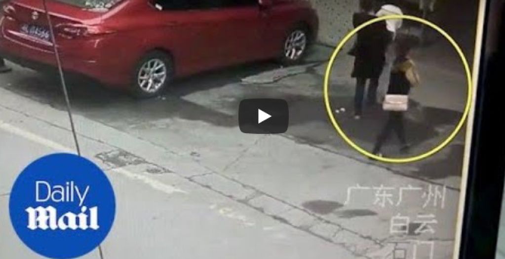 Жінка отримала струс мозку через собаку, який впав їй на голову. ВІДЕО
