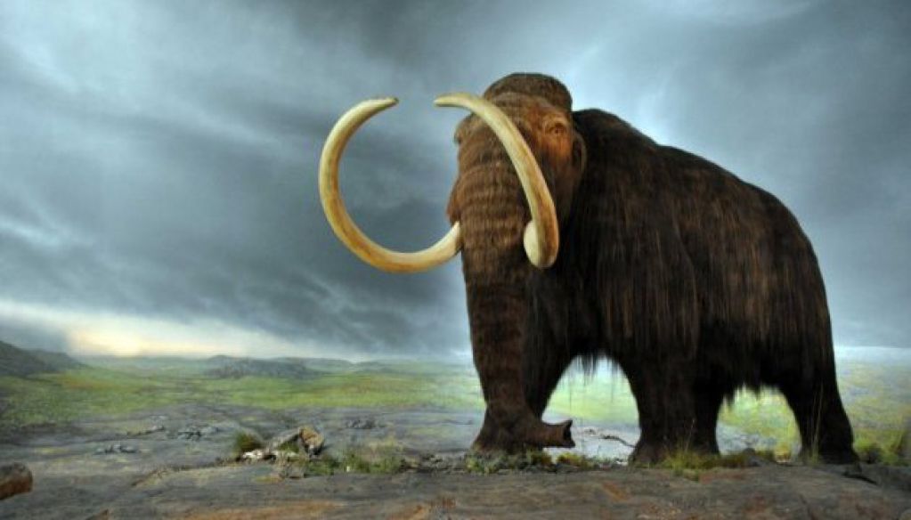 Американские ученые собираются «воскресить» мамонта