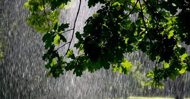 В Украине будет три волны дождей: синоптик назвал даты