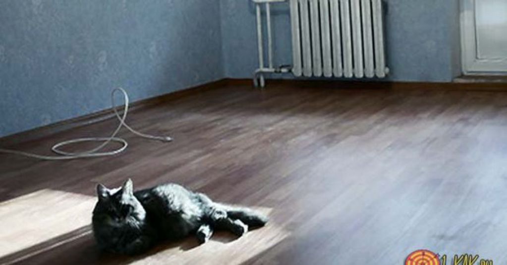 Никаких чертовых котов: так кричали эти мужчины когда-то. ФОТО