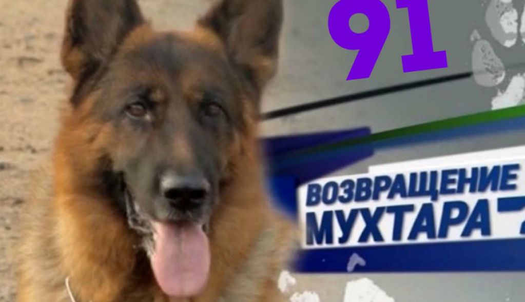 Скончалась звезда сериала «Возвращение Мухтара»