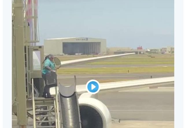 Как «умирают» чемоданы: туристка сняла на видео вопиющий случай в аэропорту