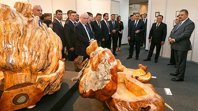 «Гроб для Путина»: в сети высмеяли поделку министра обороны РФ