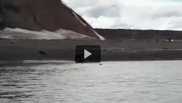 На Камчатке рыбак утонул в реке, спасаясь от медведя. ВИДЕО