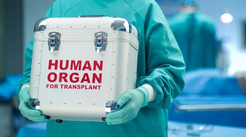 «Черной трансплантологии» в Украине пришел конец